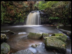 IMG001 (1) (1) (1) (1) (1) (1)