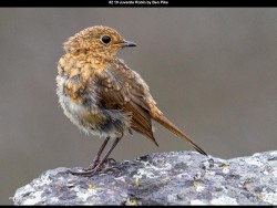 IMG001 (1) (1) (1) (1) (1) (1) (1) (1) (1) (1) (1) (1)