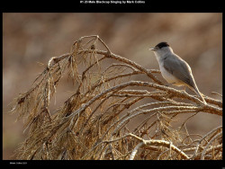 IMG001 (1) (1) (1) (1) (1) (1) (1) (1) (1) (1) (1) (1) (1) (1) (1) (1) (1) (1) (1) (1) (1)