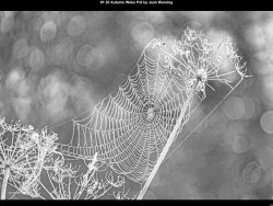 IMG001 (1) (1) (1) (1) (1) (1) (1) (1) (1) (1) (1) (1) (1) (1) (1) (1) (1) (1) (1) (1) (1) (1) (1)