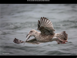 IMG001 (1) (1) (1) (1) (1) (1) (1) (1) (1) (1) (1) (1) (1) (1) (1) (1) (1) (1) (1) (1) (1) (1) (1) (1) (1) (1) (1) (1) (1)