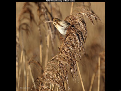 IMG001 (1) (1) (1) (1) (1) (1) (1) (1) (1) (1) (1) (1) (1) (1) (1) (1) (1) (1) (1) (1) (1) (1) (1) (1) (1) (1) (1) (1) (1) (1) (1)