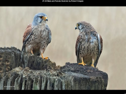 IMG001 (1) (1) (1) (1) (1) (1) (1) (1) (1) (1) (1) (1) (1) (1) (1) (1) (1) (1) (1) (1) (1) (1) (1) (1) (1) (1) (1) (1) (1) (1) (1) (1) (1) (1) (1) (1) (1) (1) (1) (1) (1) (1) (1) (1) (1) (1) (1) (1) (1) (1) (1) (1) (1)