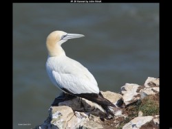 IMG002 (1) (1) (1) (1) (1) (1)