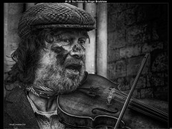 IMG002 (1) (1) (1) (1) (1) (1) (1)