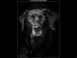 IMG002 (1) (1) (1) (1) (1) (1) (1) (1) (1) (1) (1) (1) (1) (1)