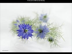 IMG002 (1) (1) (1) (1) (1) (1) (1) (1) (1) (1) (1) (1) (1) (1) (1) (1) (1) (1) (1) (1) (1) (1)