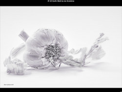 IMG002 (1) (1) (1) (1) (1) (1) (1) (1) (1) (1) (1) (1) (1) (1) (1) (1) (1) (1) (1) (1) (1) (1) (1) (1)