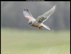 IMG002 (1) (1) (1) (1) (1) (1) (1) (1) (1) (1) (1) (1) (1) (1) (1) (1) (1) (1) (1) (1) (1) (1) (1) (1) (1) (1) (1) (1) (1) (1) (1)