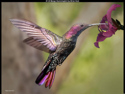 IMG002 (1) (1) (1) (1) (1) (1) (1) (1) (1) (1) (1) (1) (1) (1) (1) (1) (1) (1) (1) (1) (1) (1) (1) (1) (1) (1) (1) (1) (1) (1) (1) (1) (1) (1)