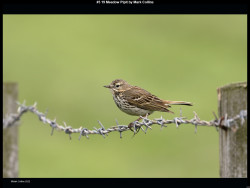 IMG002 (1) (1) (1) (1) (1) (1) (1) (1) (1) (1) (1) (1) (1) (1) (1) (1) (1) (1) (1) (1) (1) (1) (1) (1) (1) (1) (1) (1) (1) (1) (1) (1) (1) (1) (1) (1) (1) (1) (1) (1)