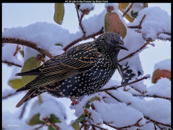 IMG002 (1) (1) (1) (1) (1) (1) (1) (1) (1) (1) (1) (1) (1) (1) (1) (1) (1) (1) (1) (1) (1) (1) (1) (1) (1) (1) (1) (1) (1) (1) (1) (1) (1) (1) (1) (1) (1) (1) (1) (1) (1) (1) (1) (1)