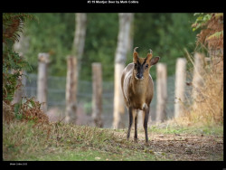 IMG002 (1) (1) (1) (1) (1) (1) (1) (1) (1) (1) (1) (1) (1) (1) (1) (1) (1) (1) (1) (1) (1) (1) (1) (1) (1) (1) (1) (1) (1) (1) (1) (1) (1) (1) (1) (1) (1) (1) (1) (1) (1) (1) (1) (1) (1)