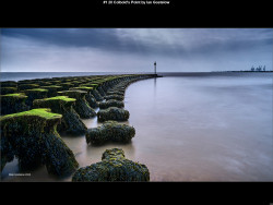 IMG002 (1) (1) (1) (1) (1) (1) (1) (1) (1) (1) (1) (1) (1) (1) (1) (1) (1) (1) (1) (1) (1) (1) (1) (1) (1) (1) (1) (1) (1) (1) (1) (1) (1) (1) (1) (1) (1) (1) (1) (1) (1) (1) (1) (1) (1) (1) (1)