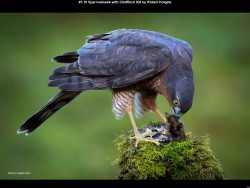 IMG002 (1) (1) (1) (1) (1) (1) (1) (1) (1) (1) (1) (1) (1) (1) (1) (1) (1) (1) (1) (1) (1) (1) (1) (1) (1) (1) (1) (1) (1) (1) (1) (1) (1) (1) (1) (1) (1) (1) (1) (1) (1) (1) (1) (1) (1) (1) (1) (1) (1) (1) (1) (1) (1) (1)