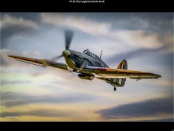 IMG003 (1) (1) (1) (1) (1) (1)