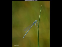 IMG003 (1) (1) (1) (1) (1) (1) (1) (1) (1) (1) (1) (1) (1) (1) (1)