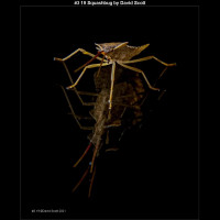 IMG003 (1) (1) (1) (1) (1) (1) (1) (1) (1) (1) (1) (1) (1) (1) (1) (1) (1) (1)