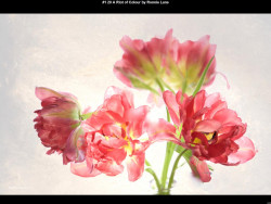 IMG003 (1) (1) (1) (1) (1) (1) (1) (1) (1) (1) (1) (1) (1) (1) (1) (1) (1) (1) (1)