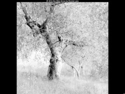 IMG003 (1) (1) (1) (1) (1) (1) (1) (1) (1) (1) (1) (1) (1) (1) (1) (1) (1) (1) (1) (1) (1) (1)