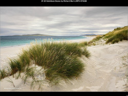 IMG003 (1) (1) (1) (1) (1) (1) (1) (1) (1) (1) (1) (1) (1) (1) (1) (1) (1) (1) (1) (1) (1) (1) (1)