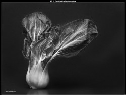 IMG003 (1) (1) (1) (1) (1) (1) (1) (1) (1) (1) (1) (1) (1) (1) (1) (1) (1) (1) (1) (1) (1) (1) (1) (1) (1) (1) (1) (1) (1) (1) (1) (1) (1) (1) (1) (1) (1) (1) (1) (1) (1) (1) (1) (1)