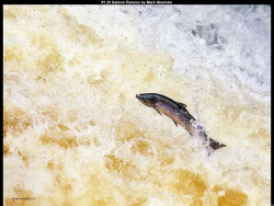 IMG003 (1) (1) (1) (1) (1) (1) (1) (1) (1) (1) (1) (1) (1) (1) (1) (1) (1) (1) (1) (1) (1) (1) (1) (1) (1) (1) (1) (1) (1) (1) (1) (1) (1) (1) (1) (1) (1) (1) (1) (1) (1) (1) (1) (1) (1) (1) (1) (1) (1) (1) (1) (1)