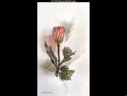 IMG003 (1) (1) (1) (1) (1) (1) (1) (1) (1) (1) (1) (1) (1) (1) (1) (1) (1) (1) (1) (1) (1) (1) (1) (1) (1) (1) (1) (1) (1) (1) (1) (1) (1) (1) (1) (1) (1) (1) (1) (1) (1) (1) (1) (1) (1) (1) (1) (1) (1) (1) (1) (1) (1) (1)