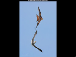 IMG003 (1) (1) (1) (1) (1) (1) (1) (1) (1) (1) (1) (1) (1) (1) (1) (1) (1) (1) (1) (1) (1) (1) (1) (1) (1) (1) (1) (1) (1) (1) (1) (1) (1) (1) (1) (1) (1) (1) (1) (1) (1) (1) (1) (1) (1) (1) (1) (1) (1) (1) (1) (1) (1) (1) (1)