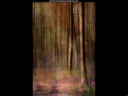 IMG004 (1) (1) (1) (1) (1) (1) (1) (1)