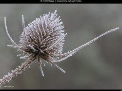 IMG004 (1) (1) (1) (1) (1) (1) (1) (1) (1) (1)