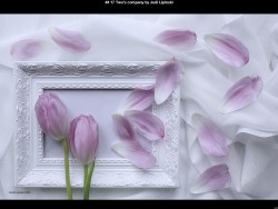 IMG004 (1) (1) (1) (1) (1) (1) (1) (1) (1) (1) (1) (1)