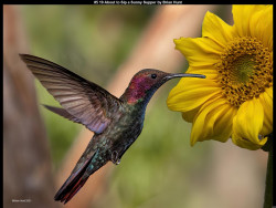 IMG004 (1) (1) (1) (1) (1) (1) (1) (1) (1) (1) (1) (1) (1) (1) (1) (1) (1) (1) (1)