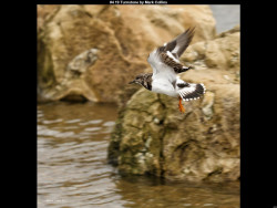 IMG004 (1) (1) (1) (1) (1) (1) (1) (1) (1) (1) (1) (1) (1) (1) (1) (1) (1) (1) (1) (1) (1) (1) (1) (1) (1) (1) (1) (1) (1) (1) (1)