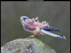 IMG004 (1) (1) (1) (1) (1) (1) (1) (1) (1) (1) (1) (1) (1) (1) (1) (1) (1) (1) (1) (1) (1) (1) (1) (1) (1) (1) (1) (1) (1) (1) (1) (1) (1) (1) (1) (1) (1) (1) (1)