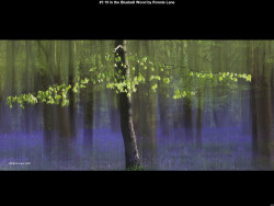 IMG004 (1) (1) (1) (1) (1) (1) (1) (1) (1) (1) (1) (1) (1) (1) (1) (1) (1) (1) (1) (1) (1) (1) (1) (1) (1) (1) (1) (1) (1) (1) (1) (1) (1) (1) (1) (1) (1) (1) (1) (1)