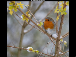 IMG004 (1) (1) (1) (1) (1) (1) (1) (1) (1) (1) (1) (1) (1) (1) (1) (1) (1) (1) (1) (1) (1) (1) (1) (1) (1) (1) (1) (1) (1) (1) (1) (1) (1) (1) (1) (1) (1) (1) (1) (1) (1) (1) (1) (1)