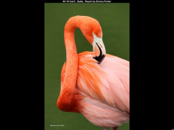 IMG004 (1) (1) (1) (1) (1) (1) (1) (1) (1) (1) (1) (1) (1) (1) (1) (1) (1) (1) (1) (1) (1) (1) (1) (1) (1) (1) (1) (1) (1) (1) (1) (1) (1) (1) (1) (1) (1) (1) (1) (1) (1) (1) (1) (1) (1) (1) (1) (1) (1)