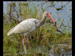 IMG004 (1) (1) (1) (1) (1) (1) (1) (1) (1) (1) (1) (1) (1) (1) (1) (1) (1) (1) (1) (1) (1) (1) (1) (1) (1) (1) (1) (1) (1) (1) (1) (1) (1) (1) (1) (1) (1) (1) (1) (1) (1) (1) (1) (1) (1) (1) (1) (1) (1) (1) (1) (1) (1) (1)