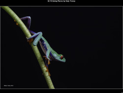 IMG004 (1) (1) (1) (1) (1) (1) (1) (1) (1) (1) (1) (1) (1) (1) (1) (1) (1) (1) (1) (1) (1) (1) (1) (1) (1) (1) (1) (1) (1) (1) (1) (1) (1) (1) (1) (1) (1) (1) (1) (1) (1) (1) (1) (1) (1) (1) (1) (1) (1) (1) (1) (1) (1) (1) (1)