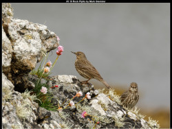 IMG004 (1) (1) (1) (1) (1) (1) (1) (1) (1) (1) (1) (1) (1) (1) (1) (1) (1) (1) (1) (1) (1) (1) (1) (1) (1) (1) (1) (1) (1) (1) (1) (1) (1) (1) (1) (1) (1) (1) (1) (1) (1) (1) (1) (1) (1) (1) (1) (1) (1) (1) (1) (1) (1) (1) (1) (1)