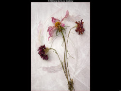 IMG004 (1) (1) (1) (1) (1) (1) (1) (1) (1) (1) (1) (1) (1) (1) (1) (1) (1) (1) (1) (1) (1) (1) (1) (1) (1) (1) (1) (1) (1) (1) (1) (1) (1) (1) (1) (1) (1) (1) (1) (1) (1) (1) (1) (1) (1) (1) (1) (1) (1) (1) (1) (1) (1) (1) (1) (1) (1)