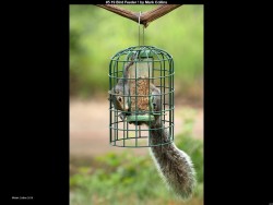 IMG005 (1) (1) (1) (1) (1) (1)