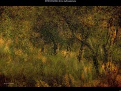 IMG005 (1) (1) (1) (1) (1) (1) (1) (1)