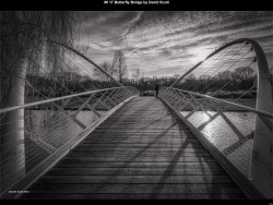 IMG005 (1) (1) (1) (1) (1) (1) (1) (1) (1) (1) (1) (1) (1) (1) (1)