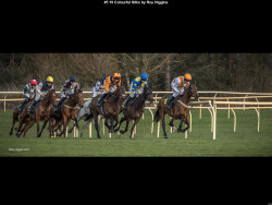 IMG005 (1) (1) (1) (1) (1) (1) (1) (1) (1) (1) (1) (1) (1) (1) (1) (1) (1) (1) (1)