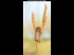 IMG005 (1) (1) (1) (1) (1) (1) (1) (1) (1) (1) (1) (1) (1) (1) (1) (1) (1) (1) (1) (1)