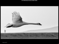 IMG005 (1) (1) (1) (1) (1) (1) (1) (1) (1) (1) (1) (1) (1) (1) (1) (1) (1) (1) (1) (1) (1) (1) (1) (1)