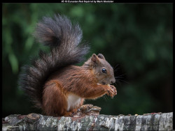 IMG005 (1) (1) (1) (1) (1) (1) (1) (1) (1) (1) (1) (1) (1) (1) (1) (1) (1) (1) (1) (1) (1) (1) (1) (1) (1) (1) (1) (1) (1) (1) (1) (1)