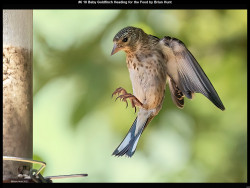 IMG005 (1) (1) (1) (1) (1) (1) (1) (1) (1) (1) (1) (1) (1) (1) (1) (1) (1) (1) (1) (1) (1) (1) (1) (1) (1) (1) (1) (1) (1) (1) (1) (1) (1) (1) (1) (1) (1) (1) (1) (1)